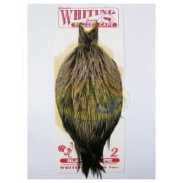 Bugger Cape marca Whiting